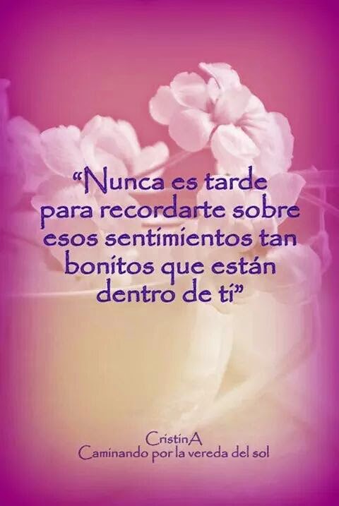 Imagen relacionada