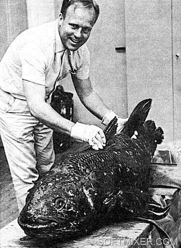 [6fd80e14b7e66495d798eaa8c68%255B12%255D.jpg]