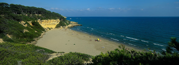 Cala Fonda, platja nudista, espai protegit del Bosc de la Marquesa,  Tarragona, Tarragonès, Tarragona 2001.08