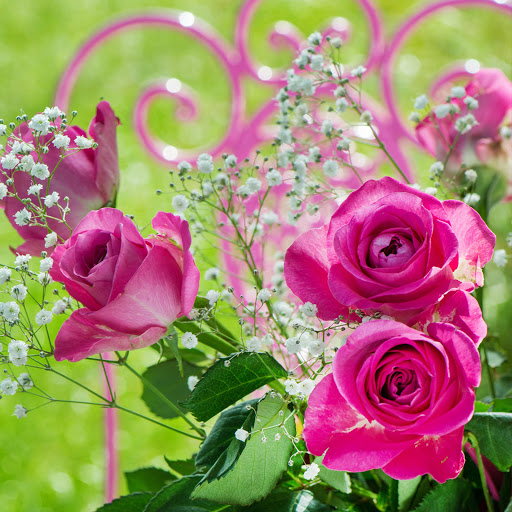 Hd-169481-ascw169481