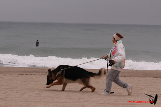 20141123-sup-argeles015.JPG