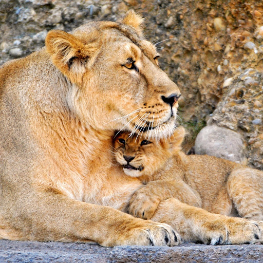 Hd-137657-ascw137657