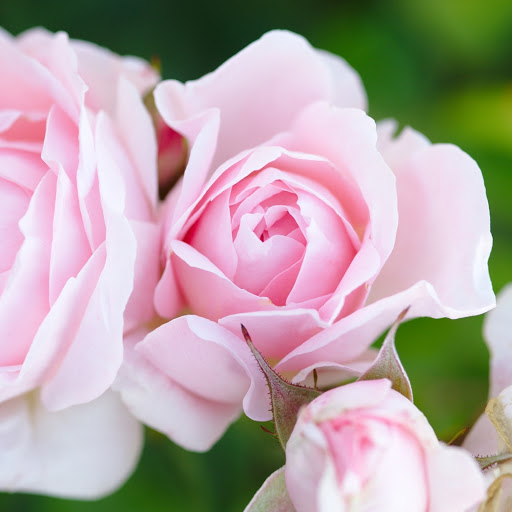 Hd-148645-ascw148645