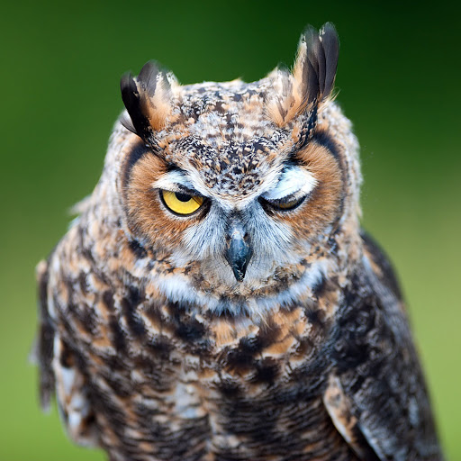 Hd-173185-ascw173185