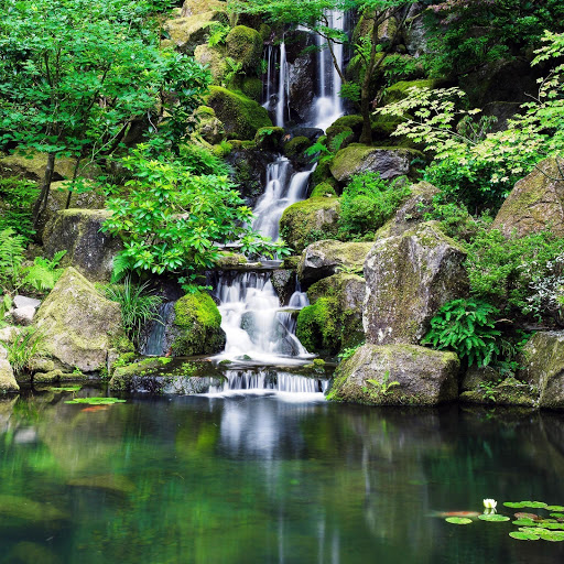 Hd-141744-ascw141744