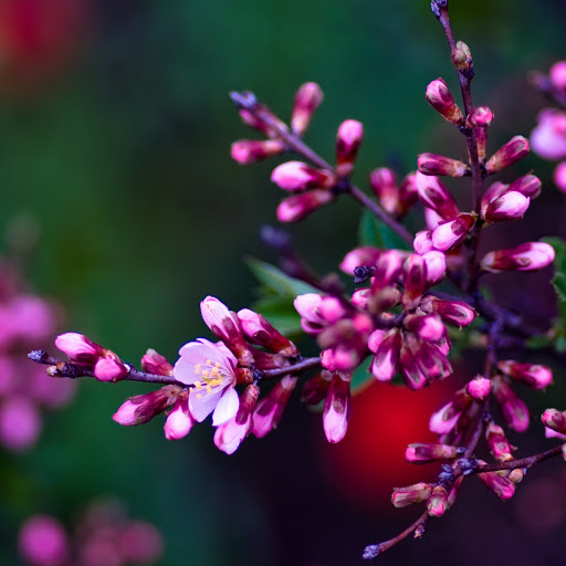 Hd-141101-ascw141101