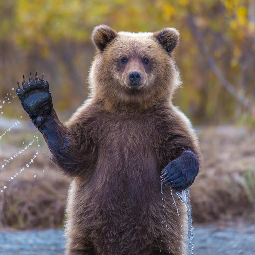 Hd-183926-ascw183926