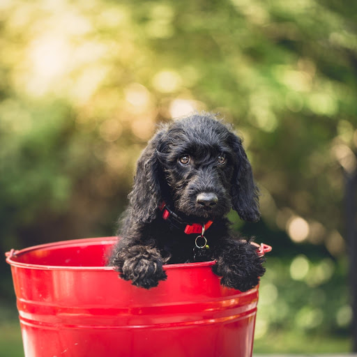 Hd-190850-ascw190850