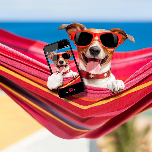 Hd-166808-ascw166808