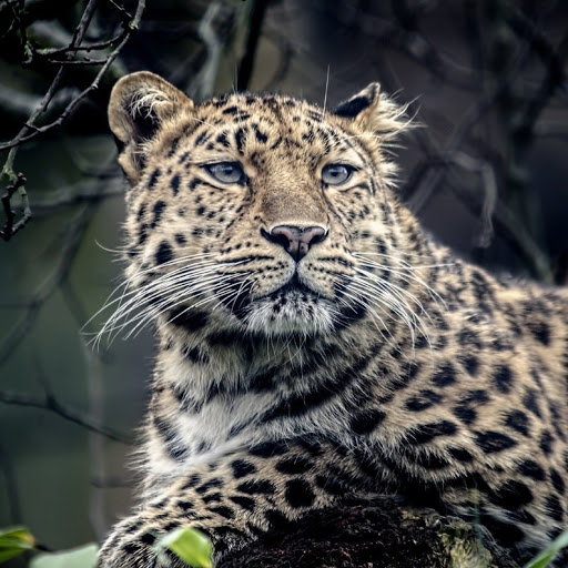 Hd-180358-ascw180358