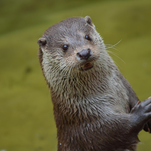 Hd-174677-ascw174677