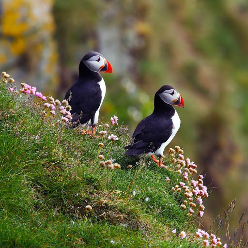 Hd-147025-ascw147025