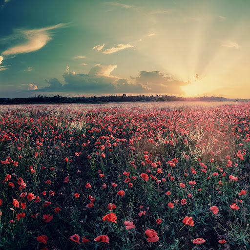 Hd-154958-ascw154958