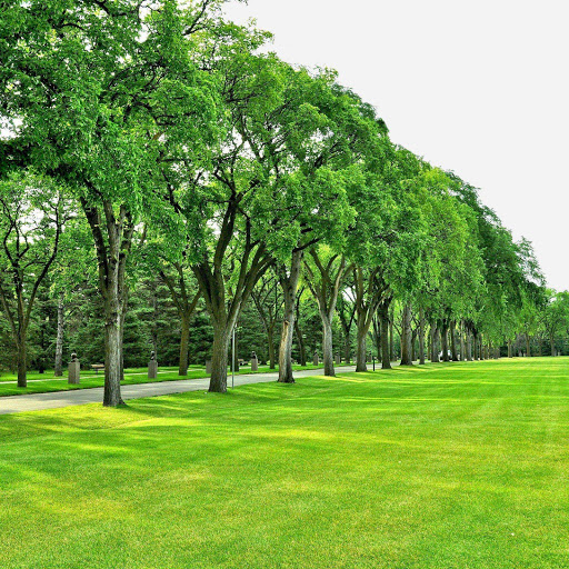 Hd-156265-ascw156265