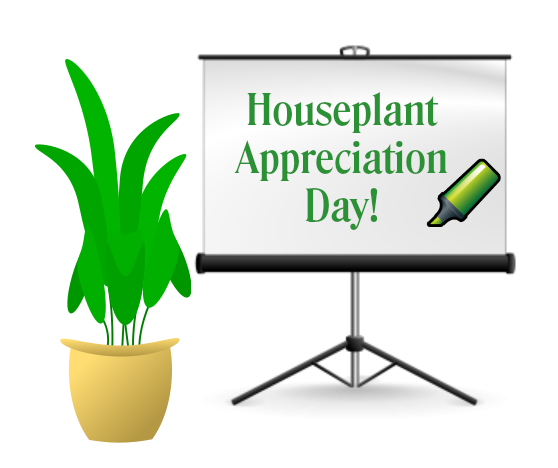 [houseplant-appreciation-day-graphic%255B5%255D.png]