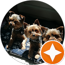 Image Google de Sylvie Brun