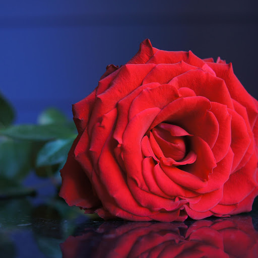 Hd-186152-ascw186152