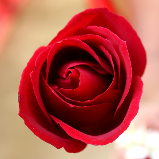 Hd-172740-ascw172740