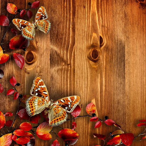 Hd-153402-ascw153402