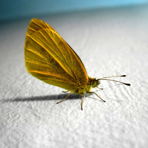 Hd-157653-ascw157653