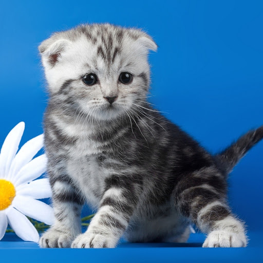 Hd-180647-ascw180647