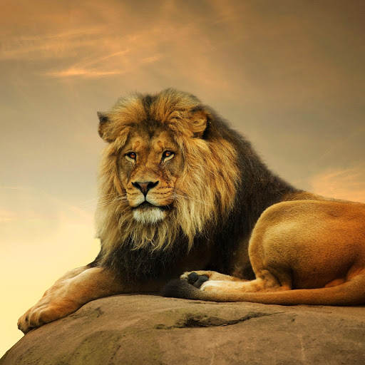 Hd-176754-ascw176754