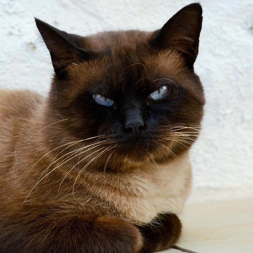 Hd-189810-ascw189810