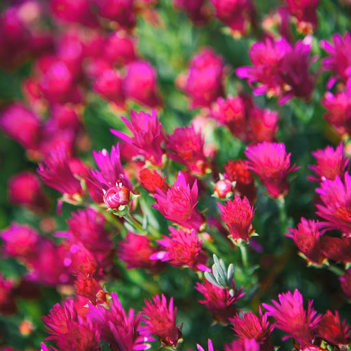 Hd-171436-ascw171436