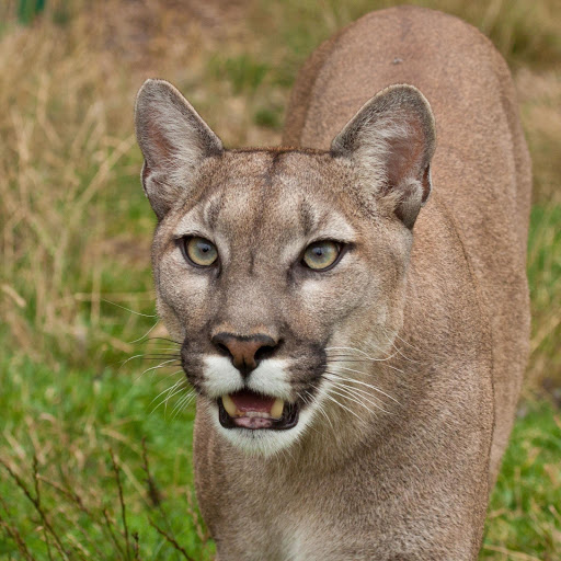 Hd-178169-ascw178169