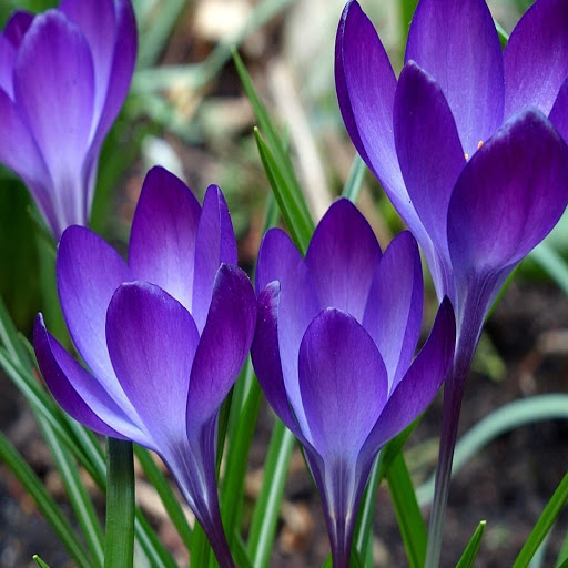 Hd-168574-ascw168574