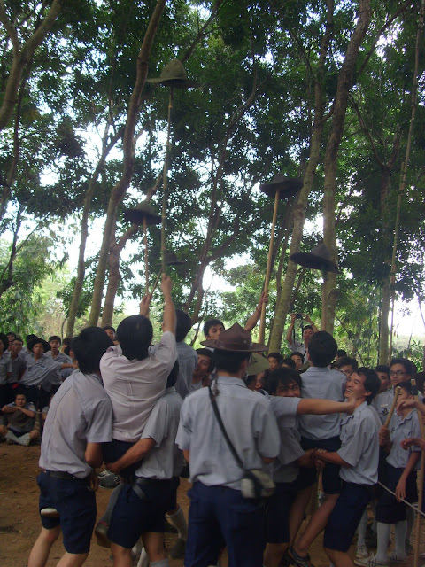S73R0540.JPG