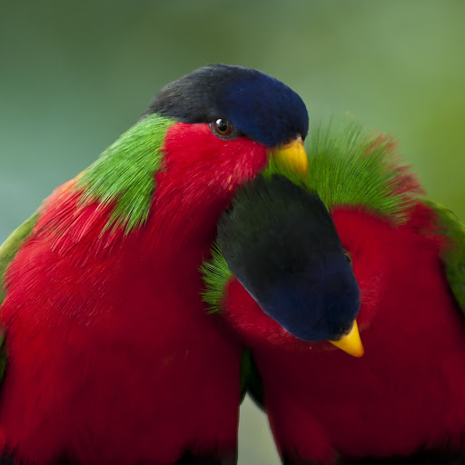 Hd-158229-ascw158229