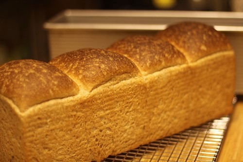 whole-wheat-toast_033