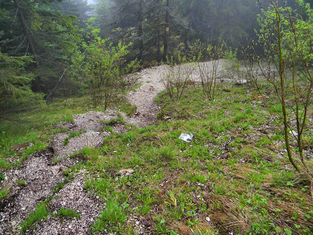 [DSCN08913.jpg]