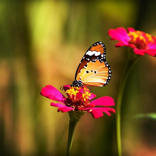 Hd-179162-ascw179162