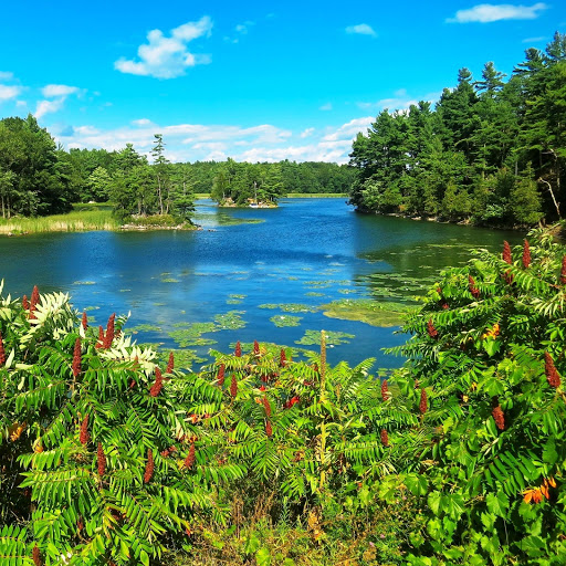 Hd-152235-ascw152235