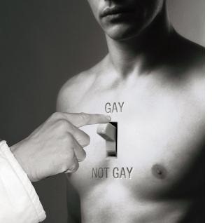 [gay-not-gay.jpg]
