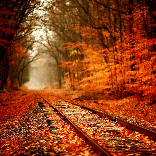 Hd-135485-ascw135485