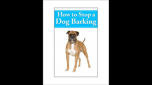 How To Stop Dog Barking