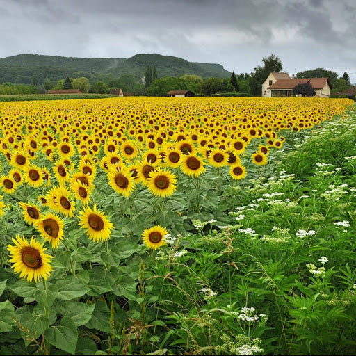 Hd-149253-ascw149253