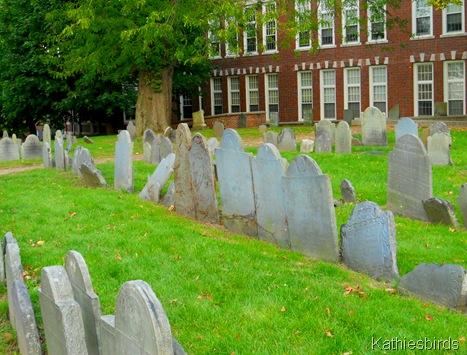 3. Copps graveyard-kab