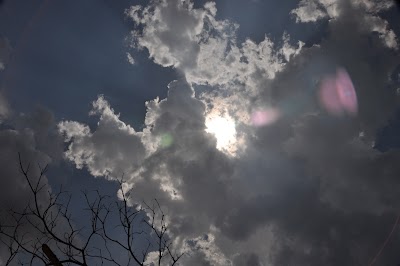 DSC_0999.JPG