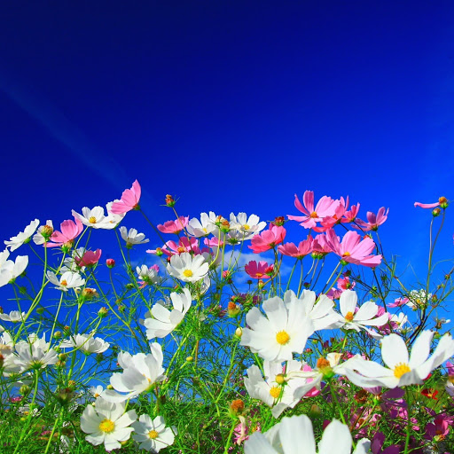 Hd-142771-ascw142771