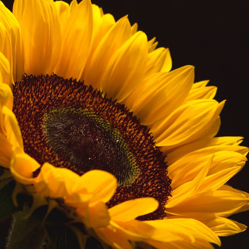 Hd-157302-ascw157302