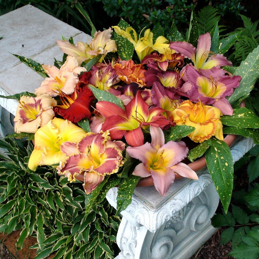 Hd-172131-ascw172131