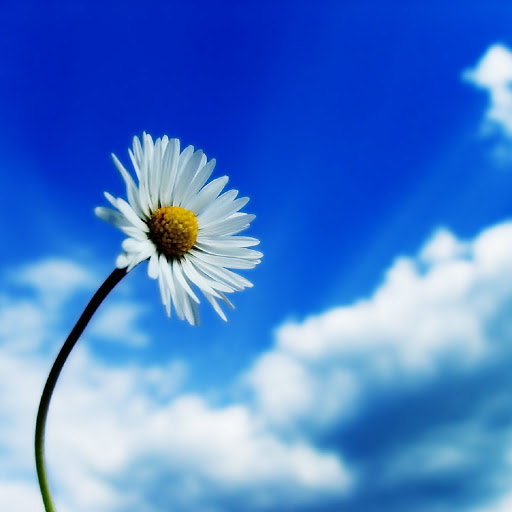 Hd-136527-ascw136527