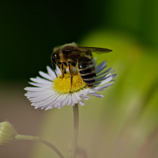 Hd-146795-ascw146795