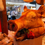 porky pig at the christmas market in Milan, Italy 