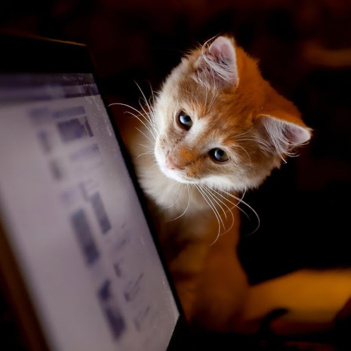 Hd-181039-ascw181039