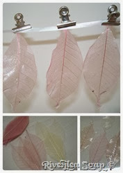 Soap leaves3